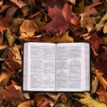 bible on fall leaves