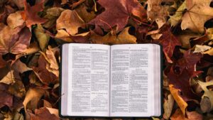 bible on fall leaves