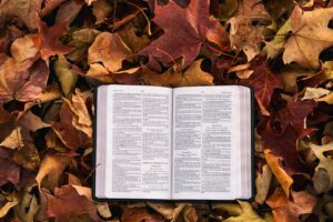 bible on fall leaves